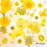♡new♡作家様必見♡押し花MIXセット♡押し花セット