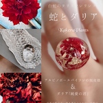 【蛇とダリア】ダリアと金箔入 白蛇のタリスマンリング(ラージサイズ)✶無限の発展✶ring of talisman large/KakeraPlants