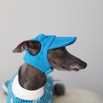 color canvas cap " iggy cap "