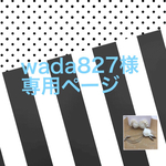 wada827様専用 白ラペルピンとイヤリングのセット