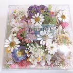 アクセサリー、ハーバリウムペン用小さな花材Box