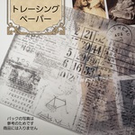 トレーシングペーパー　ヴィンテージ英数字