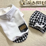 《 pechikokunn2様 専用❣️》犬服‼︎重ね着風パーカー&お食事用🦴骨スヌード　2点セット(サイズオーダー)