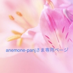 ◇anemone-panjさま専用ページ◇