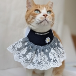 ドラマティックドレス