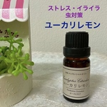 ★ユーカリレモン(ユーカリシトリオドラ)★高品質セラピーグレード精油★