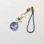 ＊にゃんこさまご予約品＊