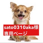 専用ページ