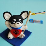 鯉のぼりを持った招き犬　チワワ(ブラックタン・スムース)