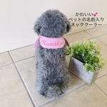 即納☆かわいいペットの名前入りネッククーラー☆　ピンク