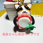 美美ちゃん専用ページです