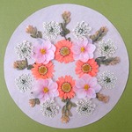 押し花セットC＜組み立てのお花＆ノースポール＆レースフラワー他＞