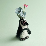 フンボルトペンギン