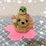 🌸🌸お花見トイプードルちゃん🌸🌸