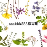 ドライフラワー 手形足形アート 命名書