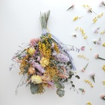 ミモザのスワッグ  𖦥