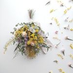 ミモザのスワッグ  𖦥