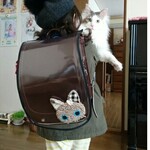 Ａ様専用オーダーラブピサイズ