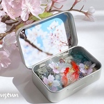 KINGYO CAN(金魚缶)★premium～桜