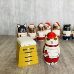 【訳あり】スコティッシュフォールド (赤バトン) マトコケ　