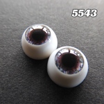 5543 プチブライス アイチップ