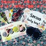 【Spring  lucky bag】ちょうちょブローチ2点含む福袋！