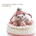 【受注販売】ストロベリーケーキ/ハリネズミ用クッション