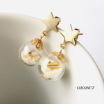 ♯２４１《新作》星のスノードームピアス&イヤリング