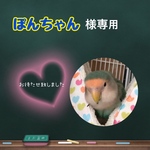 ぽんちゃん様オーダー【遊べるBIRDテント】