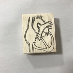 人体心臓スタンプ