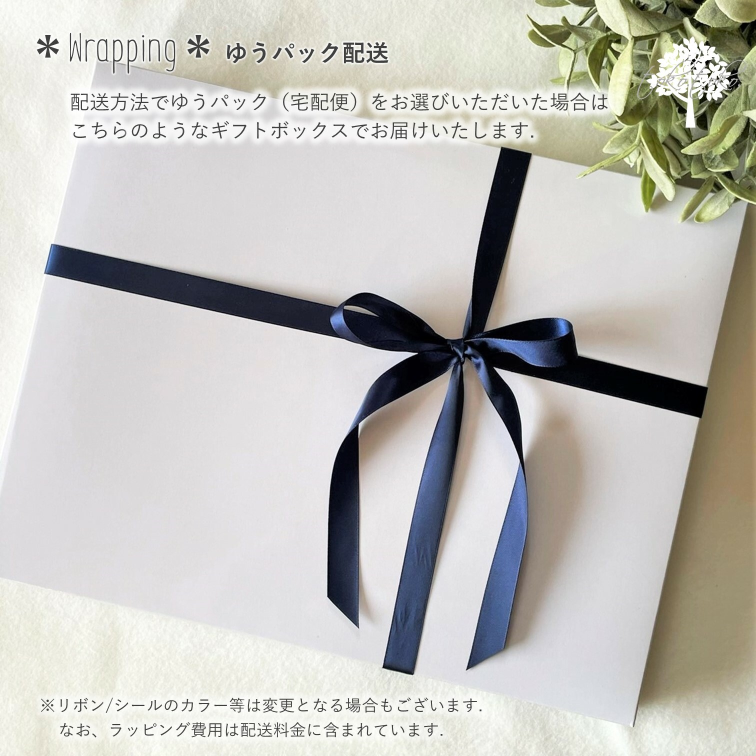 mocmof おめかしギフトセット (レース) 622-476161 【箱入り