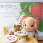 ミニチュア　いちご🍓キャンディ🍬セット①