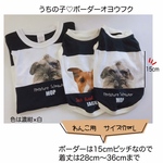 4月販売【ワンコ用】うちの子❤️ボーダーTシャツ