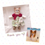 yuki…様専用♡お着替えセット・おめかしわんこドール用『うちの子オーダー』(mii wool&wool)