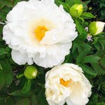 「ririri0801様ご依頼品」お着替え袋 (二点)
