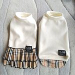犬服！Msize！タータンチェック重ね着