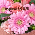 koguma87様専用