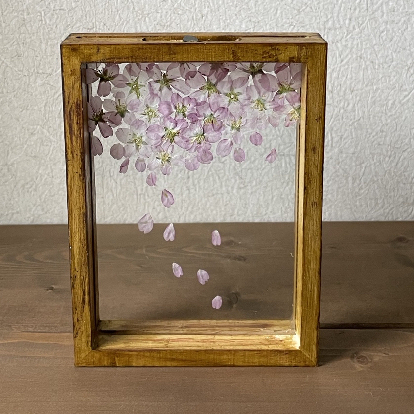 押し花2way額〜大人気のアジサイとミモザのふたつを楽しめる