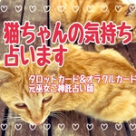飼ってる猫ちゃんの気持ち占います★あなたの守護神さまとご神託も占います☆占い鑑定書送付★元巫女ご神託占い師★タロットカード＆オラクルカード★スマートレター送料無料