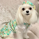 春夏ワンピース　リバティー柄ジャージ・犬服