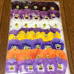 100円お値引き‼️今日から「macoron春の可愛いお花たちのドライフラワー祭り」始まりました！  ⑥