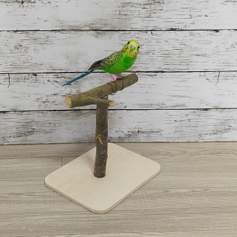 Amazon | バードアスレチック インコ 止まり木デスクトップ 爪
