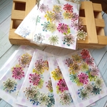 押し花 　レースフラワー　20色セット
