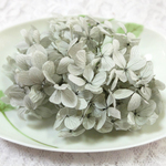ピラミッド紫陽花　あじさい　アジサイ　プリザーブド　グレー