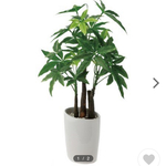 光触媒　人工観葉植物　ウォールグリーン　フェイク　フラワー　パキラ中
