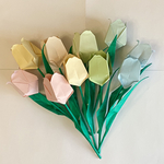 パステルカラー　チューリップ　12本セット
