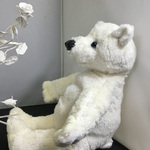 白くま（ホッキョクグマ）