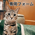 matsuriho様専用