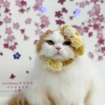 🌸春色お花のベレー帽&チョーカーセット🌸　イエロー🍀