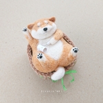 (再販)自分でコロコロコロ～♪茶柴犬さんブローチ